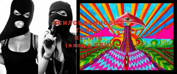 apvp Бугульма
