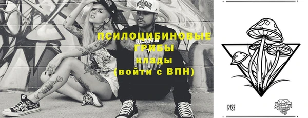 apvp Бугульма