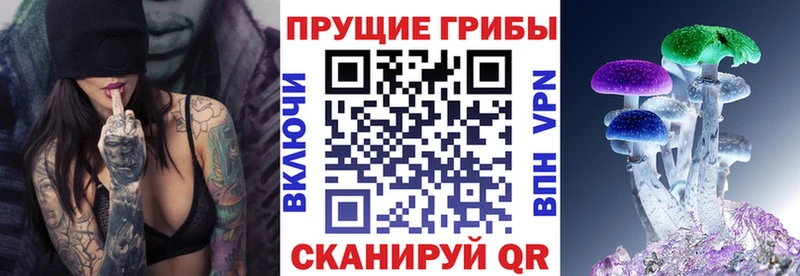 Купить закладки  Самара  Псилоцибиновые грибы Psilocybine cubensis 